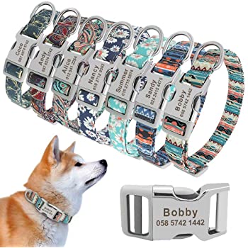 patterned dog collars