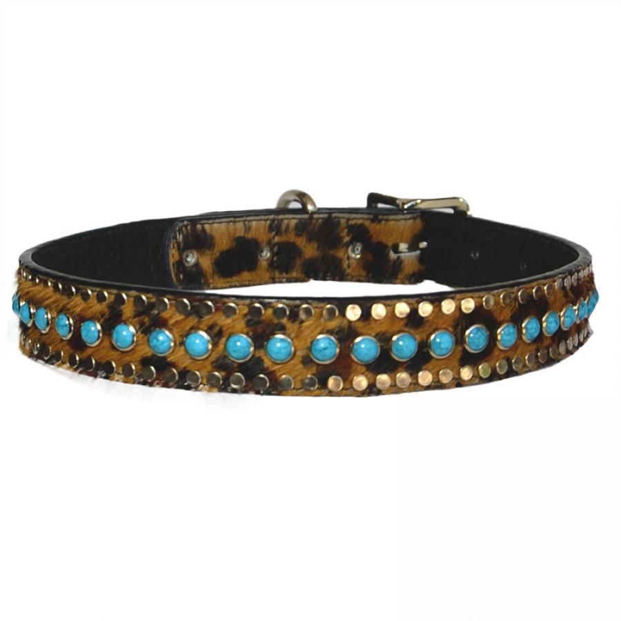 studded, jeweled dog collar